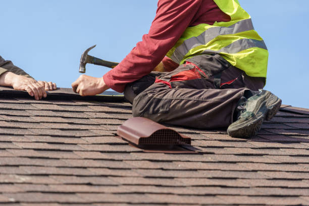 Best Roof Gutter Cleaning  in The Hills, NJ
