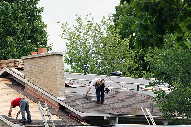 Best Roof Gutter Cleaning  in The Hills, NJ