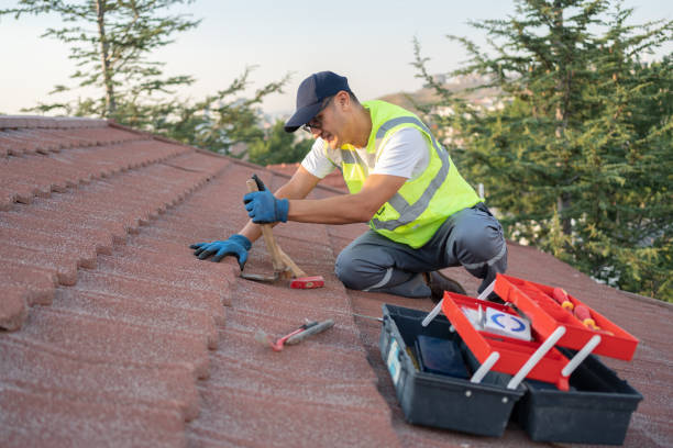 Roof Gutter Cleaning in The Hills, NJ